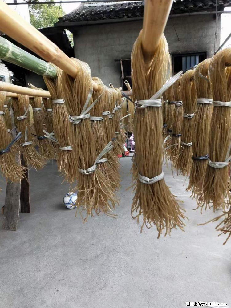 【灌阳正宗红薯粉】美女家里自己做的，干净卫生，假一赔十，价格合理，抢购电话：13737312895 - 美食天地 - 南宁生活社区 - 南宁28生活网 nn.28life.net
