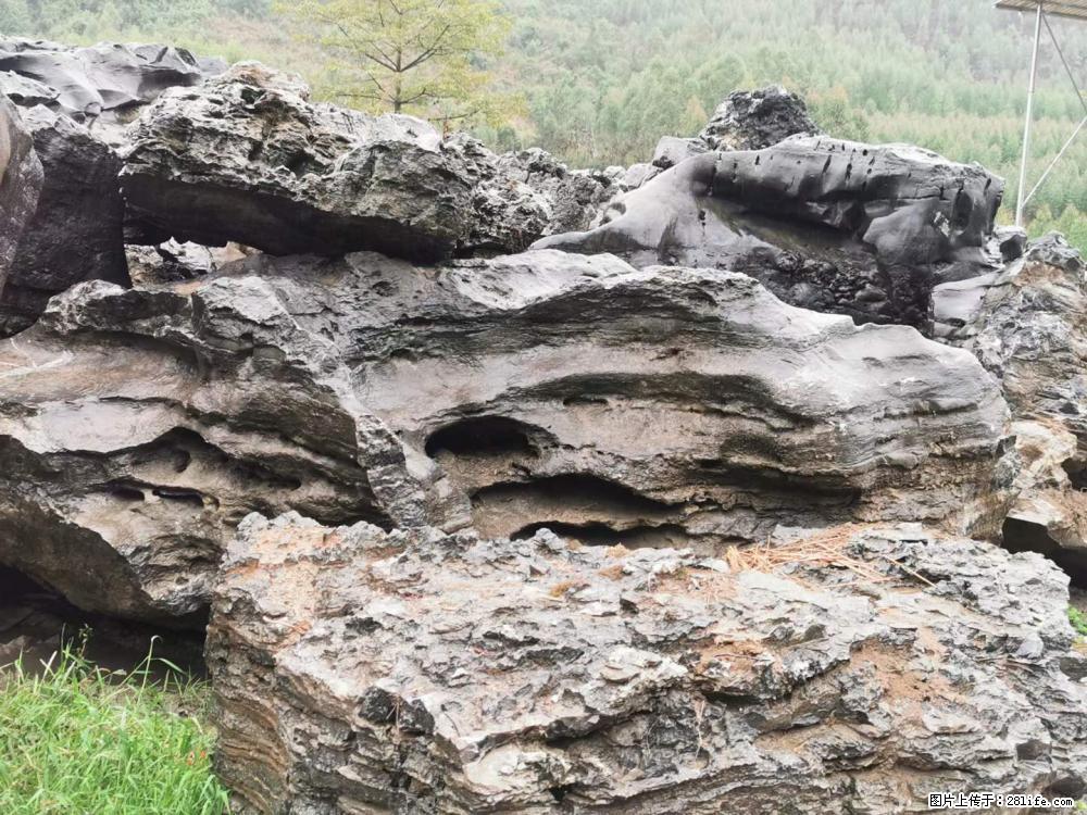 风景石、假山石大量有货，有需要的欢迎联系 - 新手上路 - 南宁生活社区 - 南宁28生活网 nn.28life.net