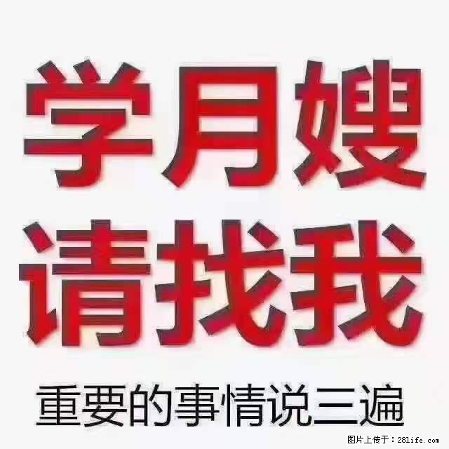 为什么要学习月嫂，育婴师？ - 新手上路 - 南宁生活社区 - 南宁28生活网 nn.28life.net