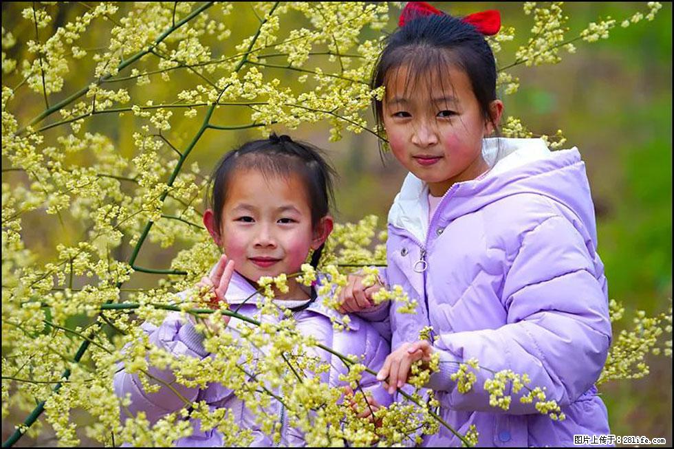 【春天，广西桂林灌阳县向您发出邀请！】米珠山前有片山苍子花在飘香 - 游山玩水 - 南宁生活社区 - 南宁28生活网 nn.28life.net