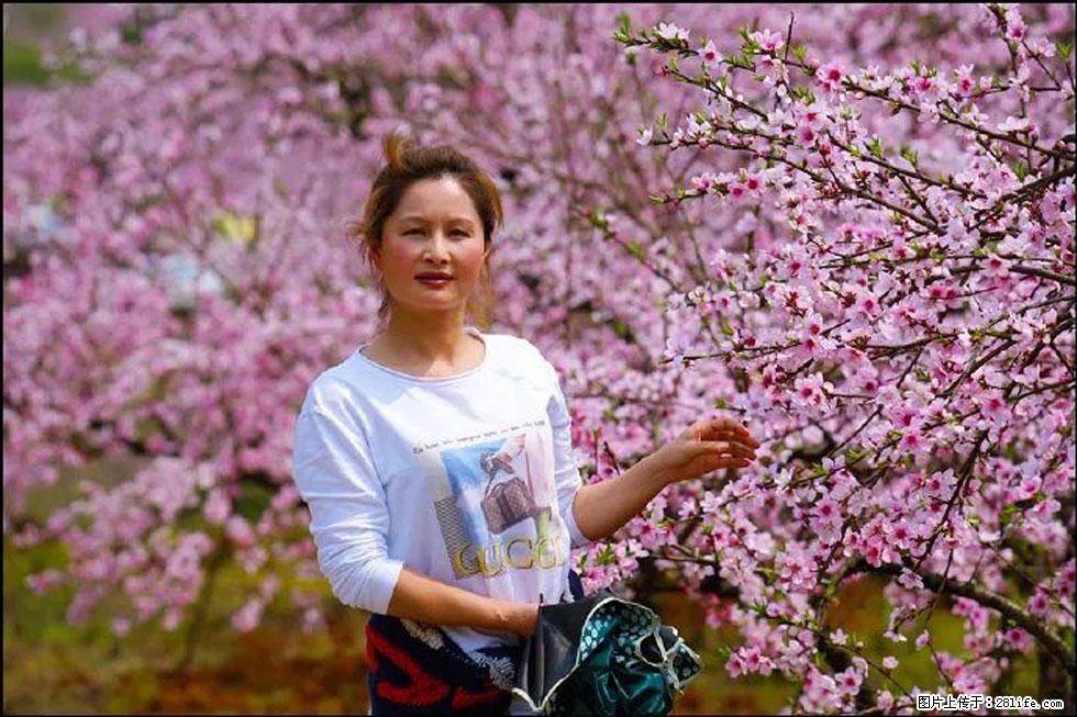 【春天，广西桂林灌阳县向您发出邀请！】官庄村有个醉美的桃花园 - 游山玩水 - 南宁生活社区 - 南宁28生活网 nn.28life.net