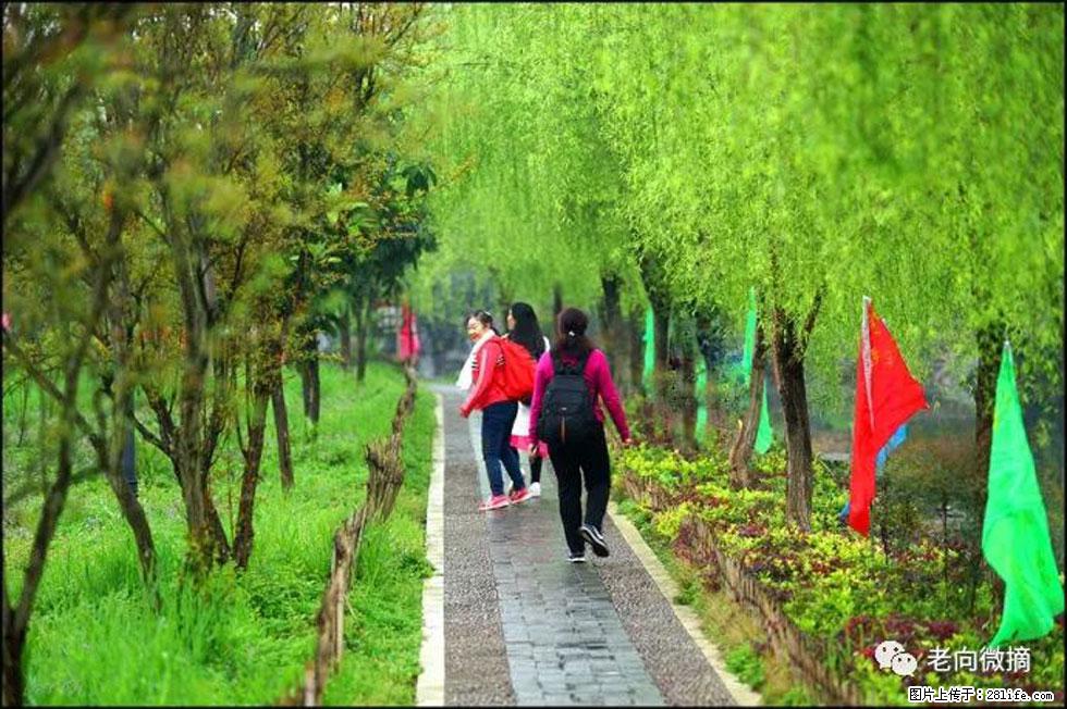 【春天，广西桂林灌阳县向您发出邀请！】江口老街又逢春 - 游山玩水 - 南宁生活社区 - 南宁28生活网 nn.28life.net