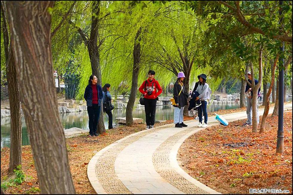 【春天，广西桂林灌阳县向您发出邀请！】江口老街又逢春 - 游山玩水 - 南宁生活社区 - 南宁28生活网 nn.28life.net
