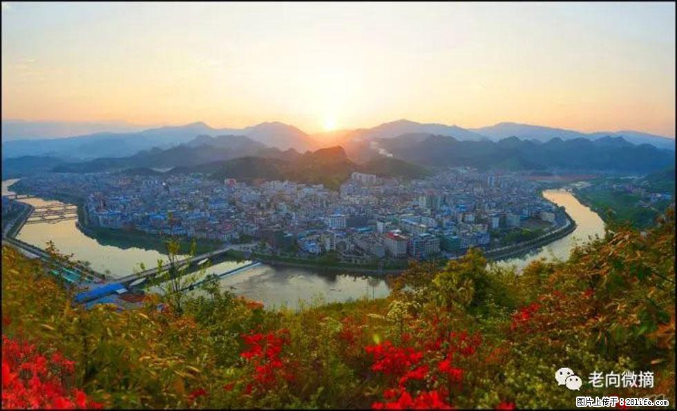【春天，广西桂林灌阳县向您发出邀请！】登麒麟山，相约映山红 - 游山玩水 - 南宁生活社区 - 南宁28生活网 nn.28life.net