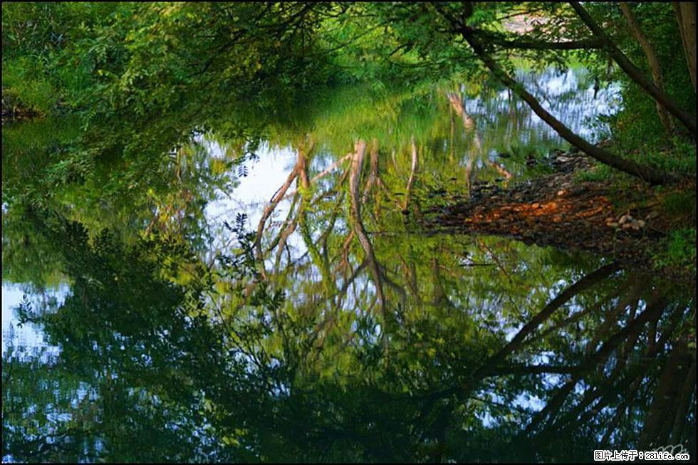 【春天，广西桂林灌阳县向您发出邀请！】熊家寨湿地公园 - 游山玩水 - 南宁生活社区 - 南宁28生活网 nn.28life.net