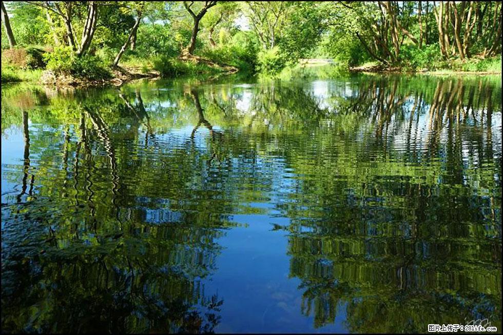 【春天，广西桂林灌阳县向您发出邀请！】熊家寨湿地公园 - 游山玩水 - 南宁生活社区 - 南宁28生活网 nn.28life.net