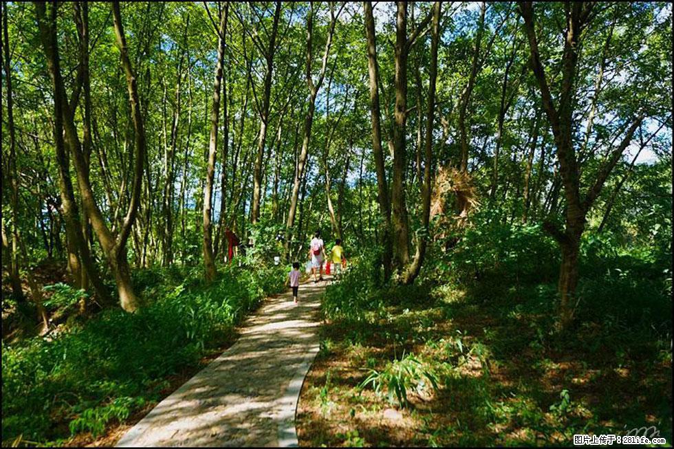 【春天，广西桂林灌阳县向您发出邀请！】熊家寨湿地公园 - 游山玩水 - 南宁生活社区 - 南宁28生活网 nn.28life.net