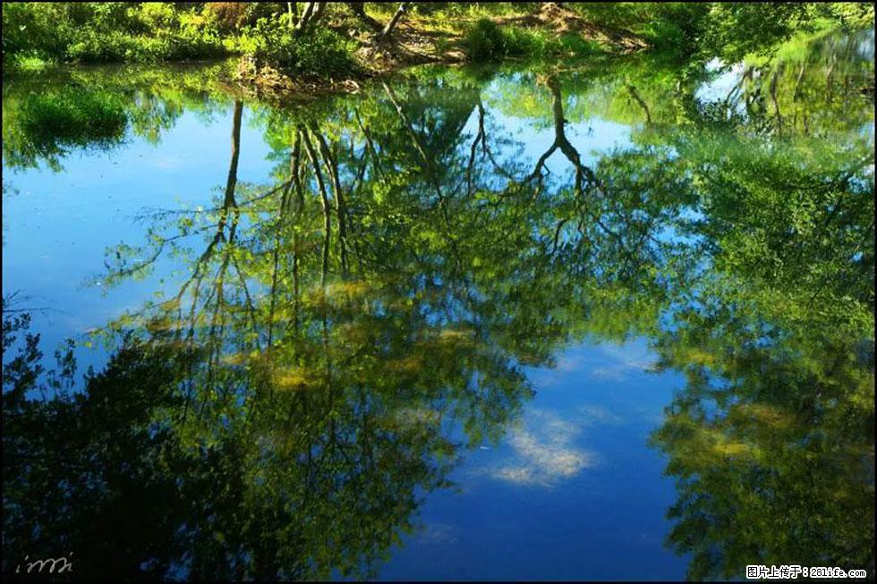 【春天，广西桂林灌阳县向您发出邀请！】熊家寨湿地公园 - 游山玩水 - 南宁生活社区 - 南宁28生活网 nn.28life.net
