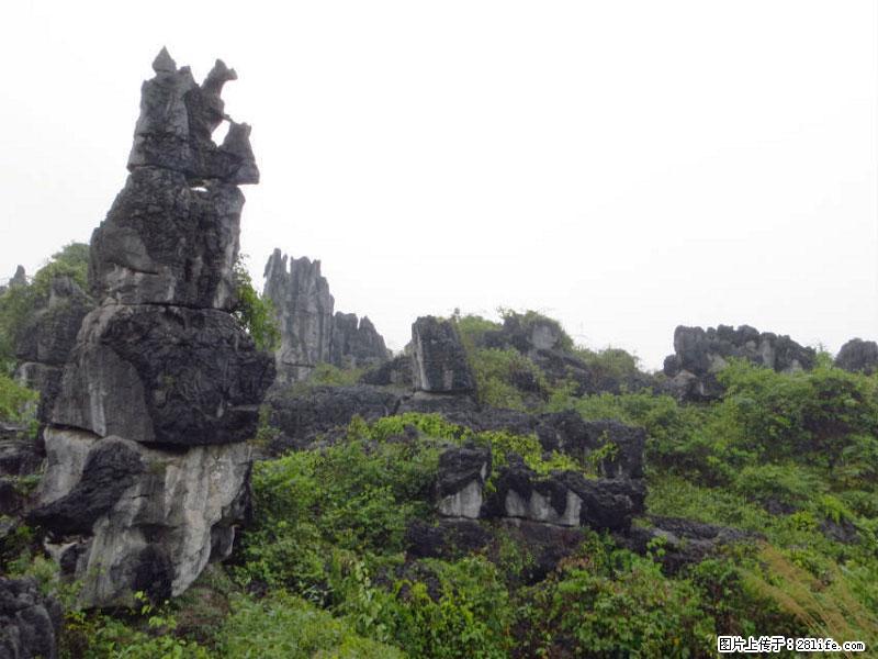 桂林旅游名城景点：灌阳文市石林 - 游山玩水 - 南宁生活社区 - 南宁28生活网 nn.28life.net