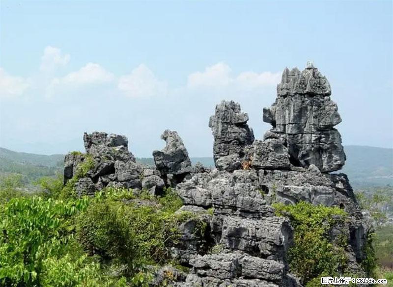 桂林旅游名城景点：灌阳文市石林 - 游山玩水 - 南宁生活社区 - 南宁28生活网 nn.28life.net