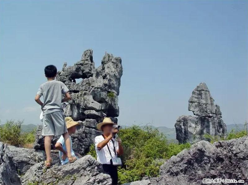 桂林旅游名城景点：灌阳文市石林 - 游山玩水 - 南宁生活社区 - 南宁28生活网 nn.28life.net