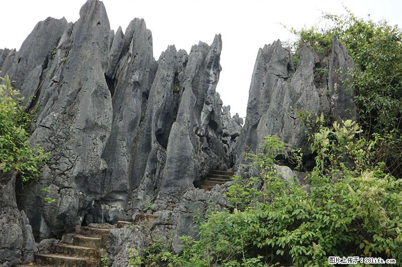 桂林旅游名城景点：灌阳文市石林 - 游山玩水 - 南宁生活社区 - 南宁28生活网 nn.28life.net