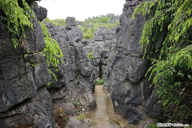 桂林旅游名城景点：灌阳文市石林 - 游山玩水 - 南宁生活社区 - 南宁28生活网 nn.28life.net