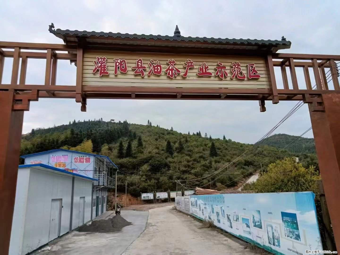 【灌阳县油茶产业示范区】一个有着充实的精神生活的人，对待身外之物自会有一种淡泊的态度 - 土特产 - 饮食特产 - 南宁分类信息 - 南宁28生活网 nn.28life.net