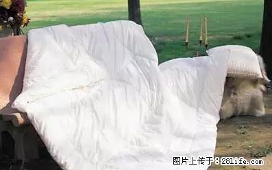 被子有异味？只要这样做，比晒太阳还强100倍！ - 家居生活 - 南宁生活社区 - 南宁28生活网 nn.28life.net