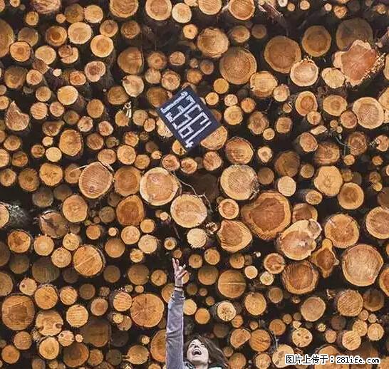 辞掉工作周游世界？现在他们在洗厕所…… - 游山玩水 - 南宁生活社区 - 南宁28生活网 nn.28life.net