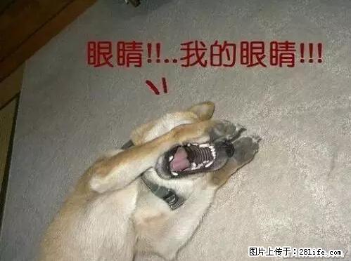 笑癫了！一女的怀孕三年未生，他终于忍不住了... - 娱乐八卦 - 南宁生活社区 - 南宁28生活网 nn.28life.net