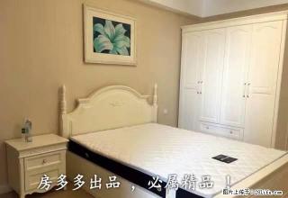 小空间也能井然有序 生活智慧无限发挥 美泉一房畅享随心所欲 - 南宁28生活网 nn.28life.net