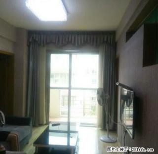 汇春路旁 希尔顿阳光 安静大开间 可拎包入住 - 南宁28生活网 nn.28life.net