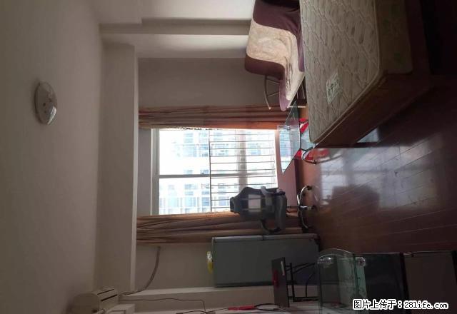 整租，民主路思贤路口，40平米好房出租配套齐全 - 房屋出租 - 房屋租售 - 南宁分类信息 - 南宁28生活网 nn.28life.net