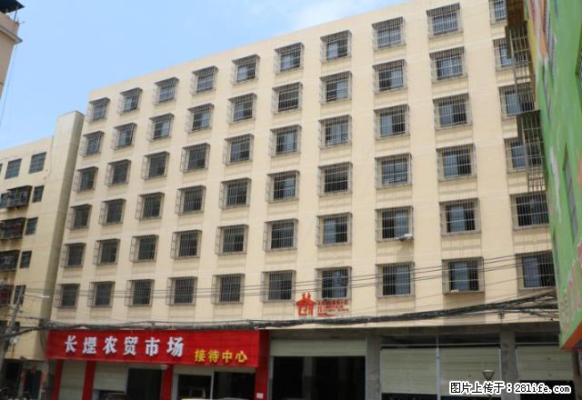 靠青秀万达长堽路四里长堽创业嘉园新房出租 - 房屋出租 - 房屋租售 - 南宁分类信息 - 南宁28生活网 nn.28life.net