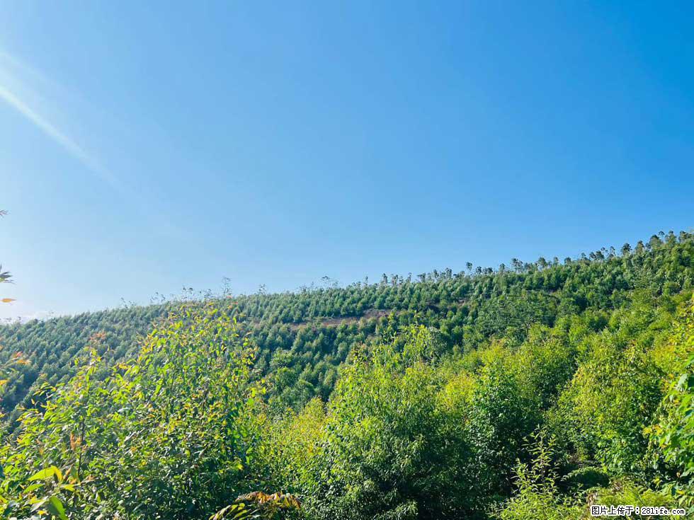 【天井岭】山顶风景旖旎，山色如画，俯瞰脚下锦绣山河，尽收世间万般风光！ - 游山玩水 - 南宁生活社区 - 南宁28生活网 nn.28life.net