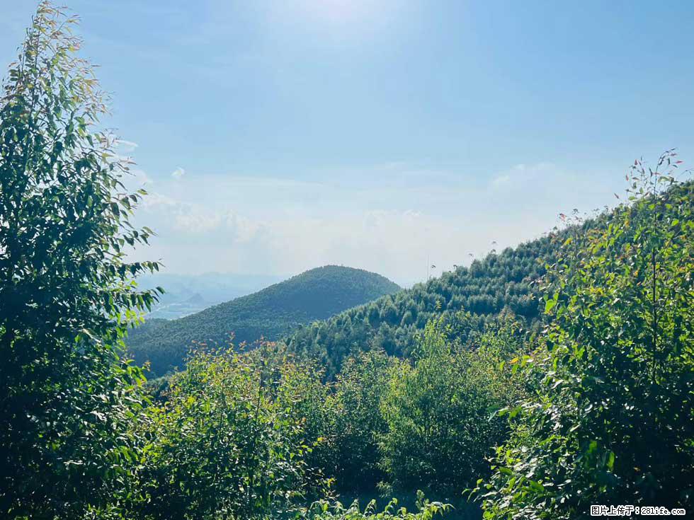【天井岭】山顶风景旖旎，山色如画，俯瞰脚下锦绣山河，尽收世间万般风光！ - 游山玩水 - 南宁生活社区 - 南宁28生活网 nn.28life.net