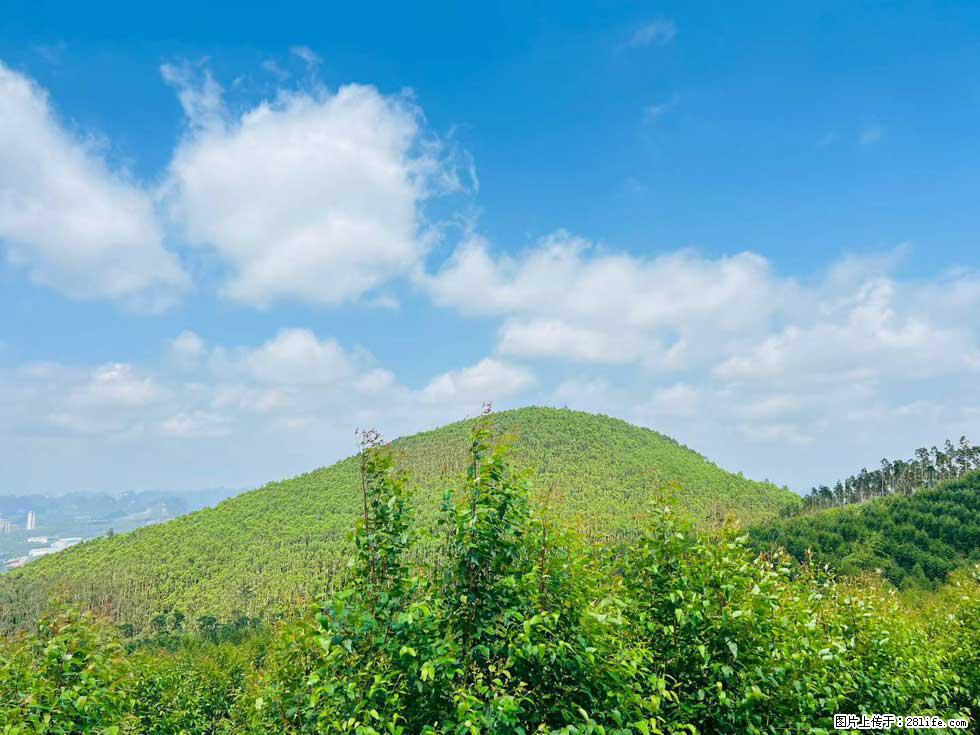 【天井岭】山顶风景旖旎，山色如画，俯瞰脚下锦绣山河，尽收世间万般风光！ - 游山玩水 - 南宁生活社区 - 南宁28生活网 nn.28life.net