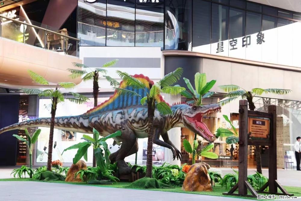 大型恐龙巡展侏罗纪恐龙主题展大型仿真恐龙展活动道具租赁 - 其他广告 - 广告专区 - 南宁分类信息 - 南宁28生活网 nn.28life.net
