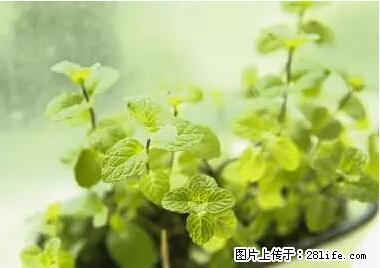 晕车、脚气、牙齿变黄、皮肤粗糙？学会这些三分钟搞定！ - 南宁生活资讯 - 南宁28生活网 nn.28life.net