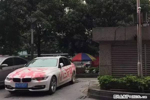 黑纹狮！南宁宝马被当街喷“小三”，剧情狗血胜XX的后裔~~ - 南宁生活资讯 - 南宁28生活网 nn.28life.net