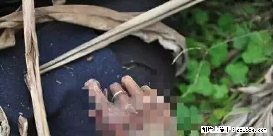 一尸两命！24岁孕妇被杀抛尸南宁中兴桥桥底！凶手竟然是…… - 南宁生活资讯 - 南宁28生活网 nn.28life.net