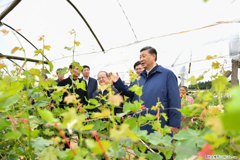 习近平赴广西考察调研 - 南宁生活资讯 - 南宁28生活网 nn.28life.net