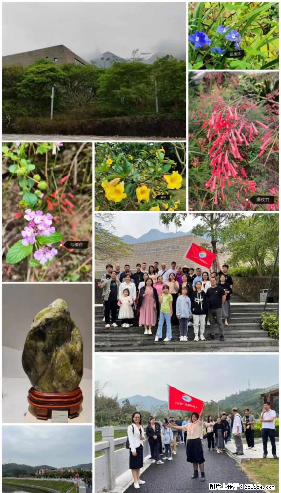 “粤灌文化 美好生活”油茶文化主题活动在广东深圳成功举办 - 南宁生活资讯 - 南宁28生活网 nn.28life.net