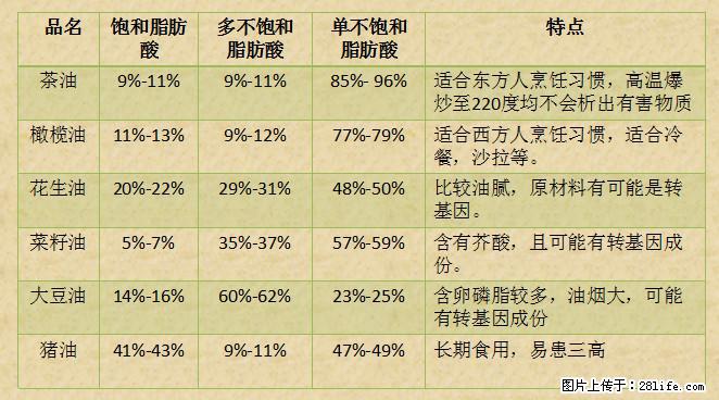 揭秘茶油的5大核心营养成分！被称为人体健康的“守护盾”！ - 南宁生活资讯 - 南宁28生活网 nn.28life.net