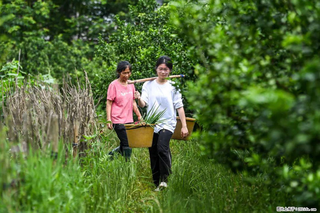 全网追的“扁担女孩”，找了一份暑假工，时薪12元 - 南宁生活资讯 - 南宁28生活网 nn.28life.net
