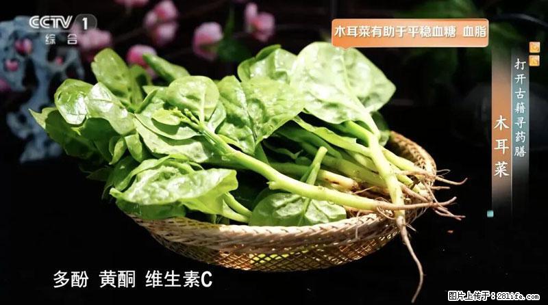 比牛奶补钙还厉害！凉血解毒、稳血糖...这菜冬天必吃，很多人却当草 - 南宁生活资讯 - 南宁28生活网 nn.28life.net