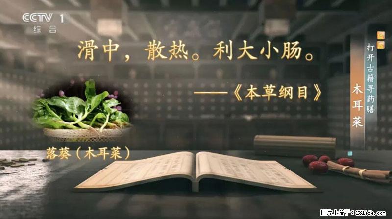 比牛奶补钙还厉害！凉血解毒、稳血糖...这菜冬天必吃，很多人却当草 - 南宁生活资讯 - 南宁28生活网 nn.28life.net