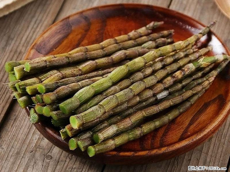 铁皮石斛的作用与功能主治 - 南宁生活资讯 - 南宁28生活网 nn.28life.net